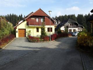 Villa in Lipno near Ski Lift - Kramolín - 3