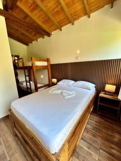 Palomino Sunrise - 1