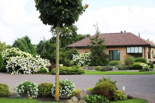 Lauras Apartment - 6