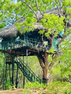 Yala Beddegama Eco - Kataragama - 0
