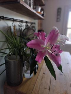 Lovely 2-bedroom flat with terrace in SE5 0TJ - 3