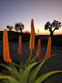 Cape of Rodon Resort - Draç - 3
