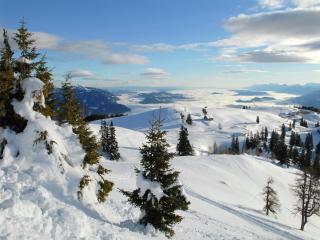 Holiday Home in Eberndorf near Petzen Ski Area - 0