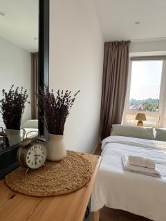 Apartament Między Szlakami - 9