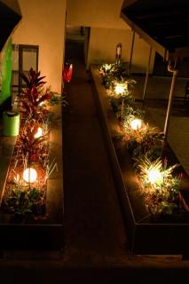 24 min from JKIA - 5