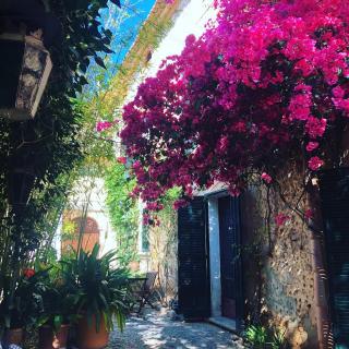 Suites with pool in Can Fressa Garden - Only Adults - 7