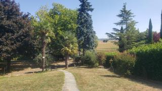Chambre d'hôtes à proximité de Vienne, campagne et piscine - 8