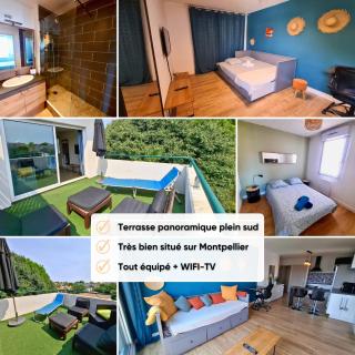 Terrasse de la pompignane - T2 lumineux plein sud - 0