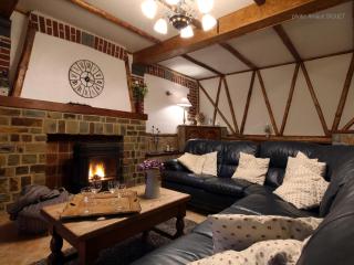 Modern Spacious Holiday Home - Mettet - 6