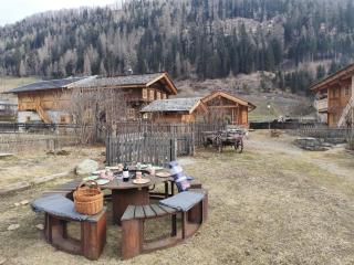 Aktivurlaub am Großglockner in der Hütte Schlosswirt Chalet III by FeWoplan - Großkirchheim - 3