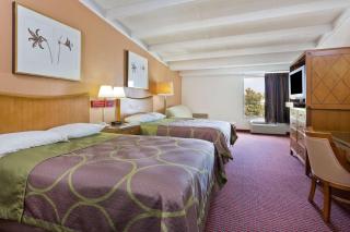 Super 8 by Wyndham Melbourne - 3