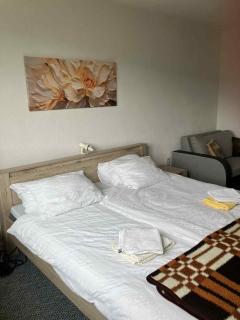 Sunshine Apartment - Heľpa - 2