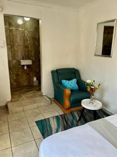 Guest room and apartment - Johannesburg - 0
