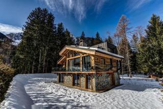 Delux Chalet Schwimmbadweg - Jochberg - 0