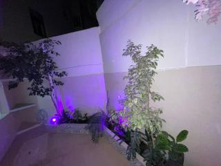 APPARTMENT Bel BACHIR 22 - Tanger - 0