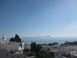 Duplex with Unobstructed Sea View Sidi Bou Saïd - 9