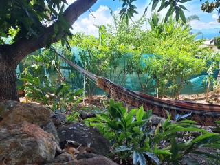 Studio Kerbignon, Piscine privée - Case-Pilote - 6