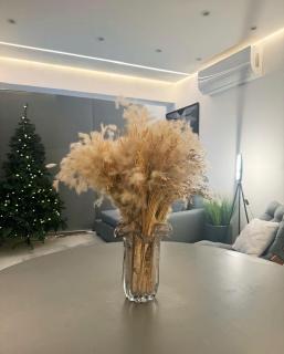 Alpha Luxury Apartment - 6