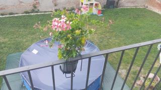 Il Granotto Grana Monferrato - 7