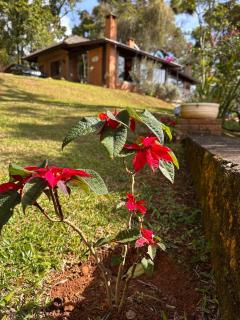 Refugio das Montanhas Green Mountain Refuge - Camanducaia - 0