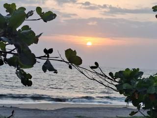 Paradise beach homestay - Alleppey - 7