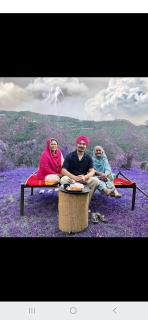 Golden valley cottages, Chail - Chail - 8