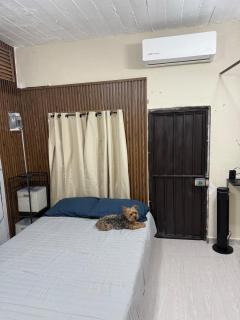 Mini Departmento - 6