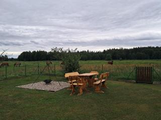 Domek na skraju lasu - 1