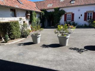 L'Herbe de grâce - Plachy-Buyon - 8