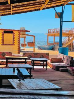 Rosa camp - 9