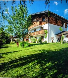 Haus Alexandra - 9