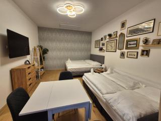 Sissi Living - Nähe Schönbrunn - 7
