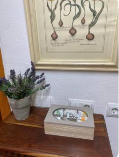 Precioso Apartamento - Villanueva de Río Segura - 2