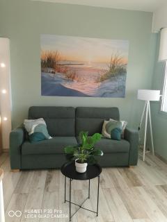 Le Pouget , Studio, Rez de Chaussée, Front de Mer WIFI - 9