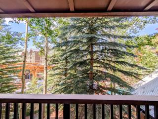 Springs 8843 by SummitCove Lodging - 3