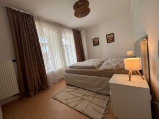 Sächsische Siesta Apartment - Sebnitz - 6