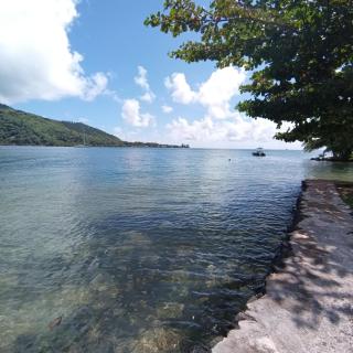 FaraTea Bay house - 9