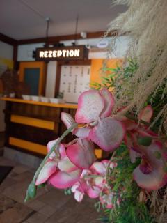 Frühstückspension Gasthof Gesslbauer - 1