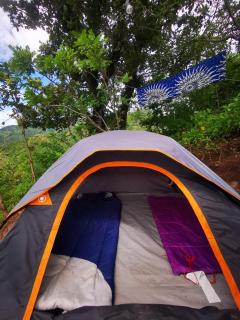 Bee Fresh Camping y Mirador - Santa Cruz La Laguna - 7