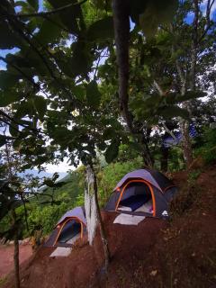 Bee Fresh Camping y Mirador - Santa Cruz La Laguna - 5
