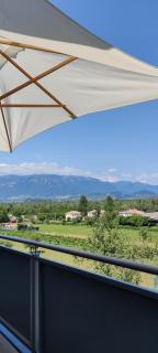 Il Re Della Cantina-Due Appartamenti tra le colline UNESCO con una e due camere - Crocetta del Montello - 8