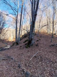 Chodosova Koliba - Pehčevo - 3
