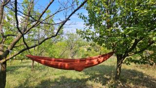 Beška Spa Escape - Sauna & Garden - Beška - 7