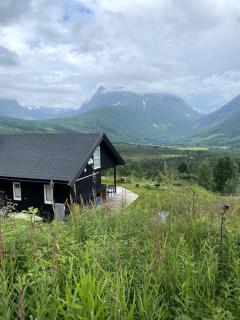 Great cabin in beautiful nature - Ørsta - 0