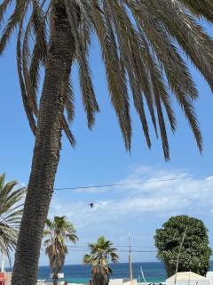Évasion côtière à la Corniche - Villa sur la mer - 9