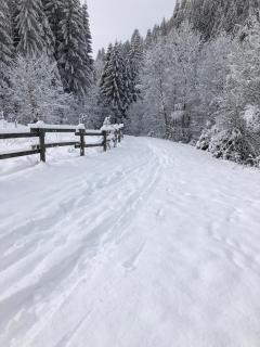 Châtel - appartement 4 personnes - 4
