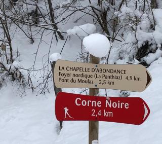 Châtel - appartement 4 personnes - 3