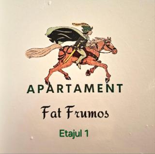 Vila Foc Alb Apartamente-Busteni - 4