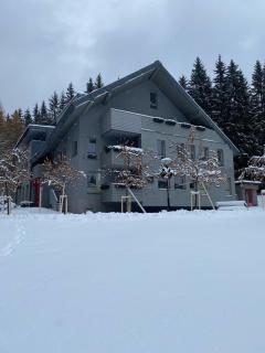 Free wellness rodinný apartman Daniela Anenské údolí - Harrachov - 9