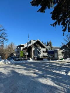 Free wellness rodinný apartman Daniela Anenské údolí - Harrachov - 2
